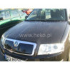 Зимен дефлектор за SKODA Superb I (2002-2006) - upper