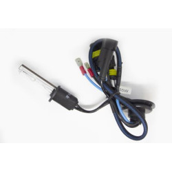 Ксенонова крушка Н1 4300K 55W