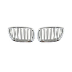 Решетки за BMW X5 E53 (2004-2007) - силвър